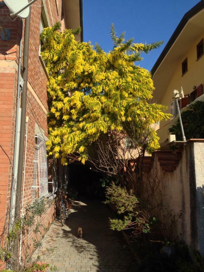Casa Mimosa